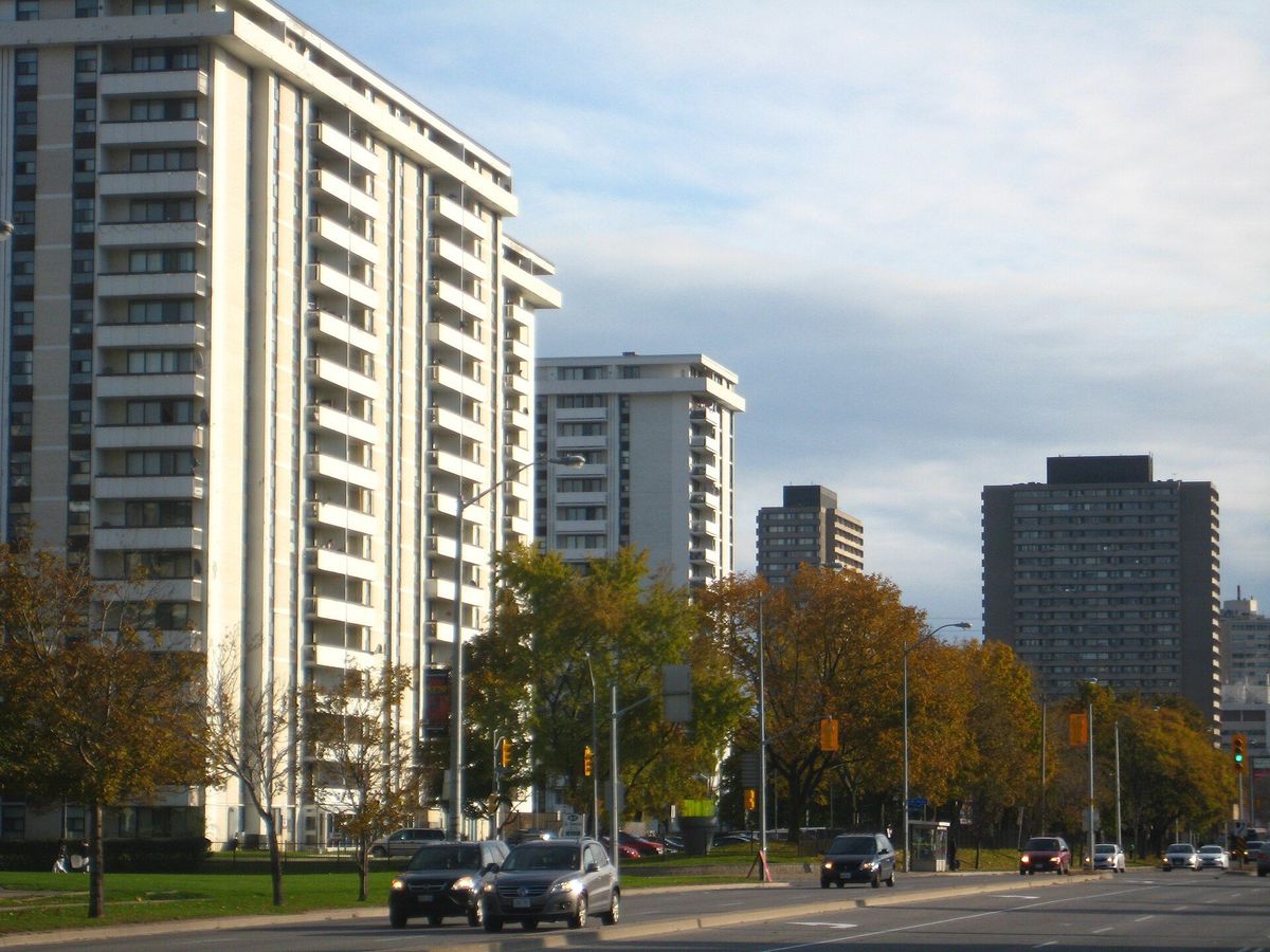 Apartment towers among autumn trees in Flemingdon Park.